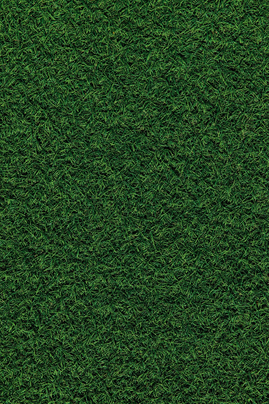 Beautiful, freshly mowed lawn in Lufkin, Texas by Mowstly Lawn Care
